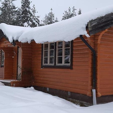 B&B Camp Aengra Lassekrog Bagian luar foto