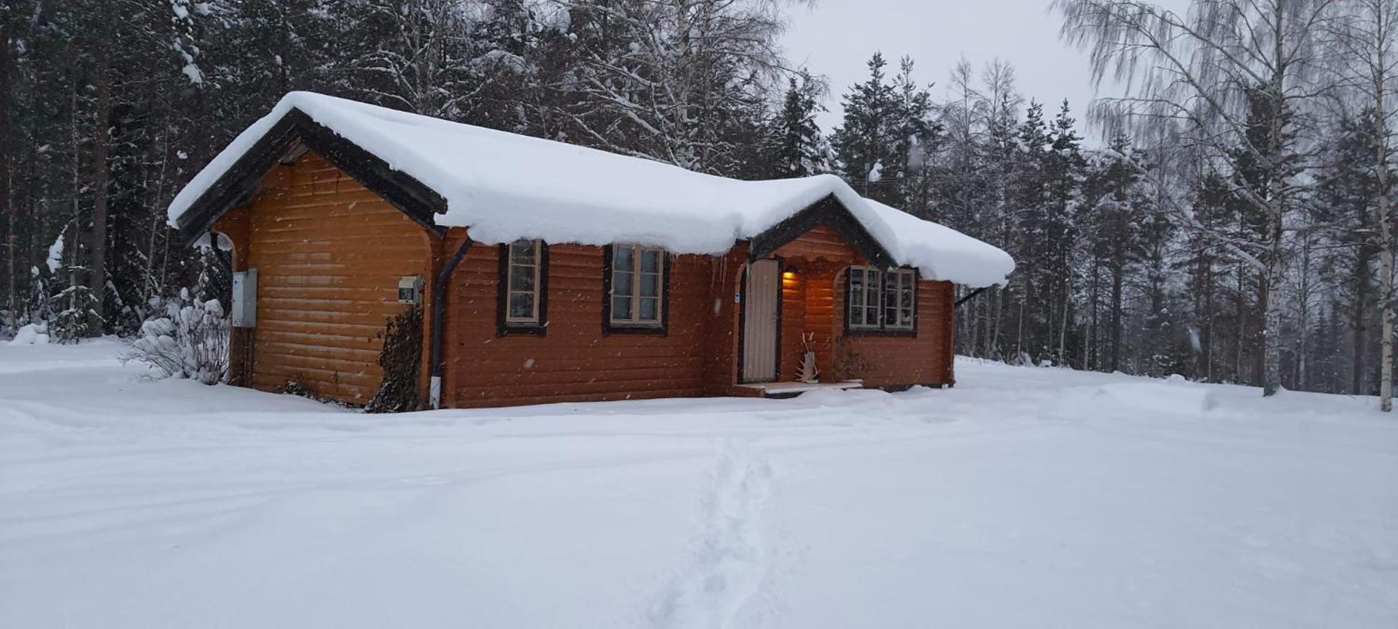 B&B Camp Aengra Lassekrog Bagian luar foto