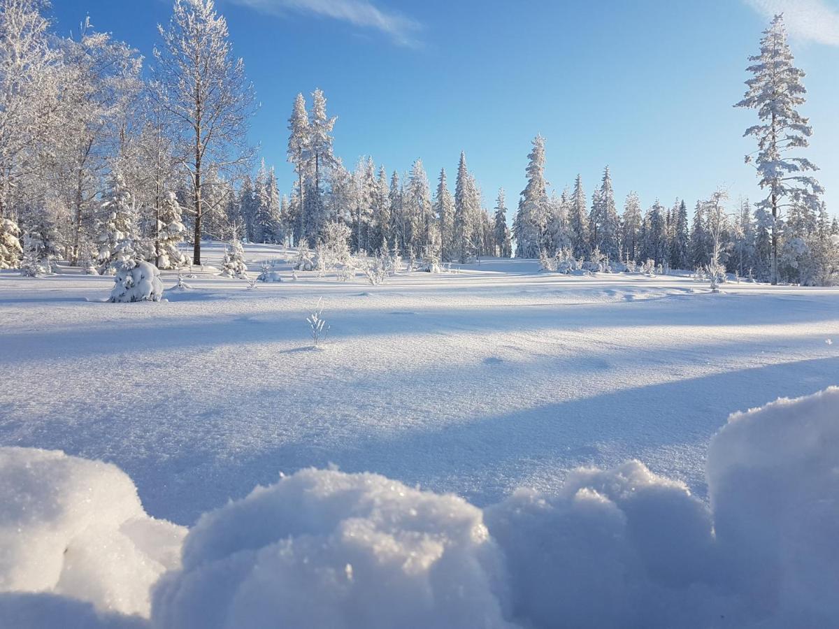B&B Camp Aengra Lassekrog Bagian luar foto